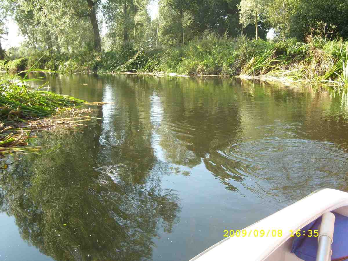 River Blackwater 2009 